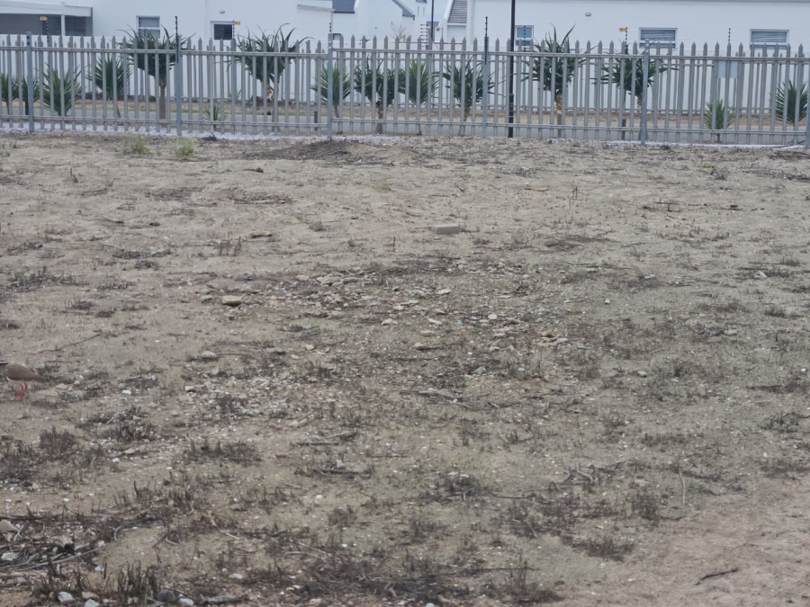 3 Bedroom Property for Sale in Atlantic Waves Estate Western Cape